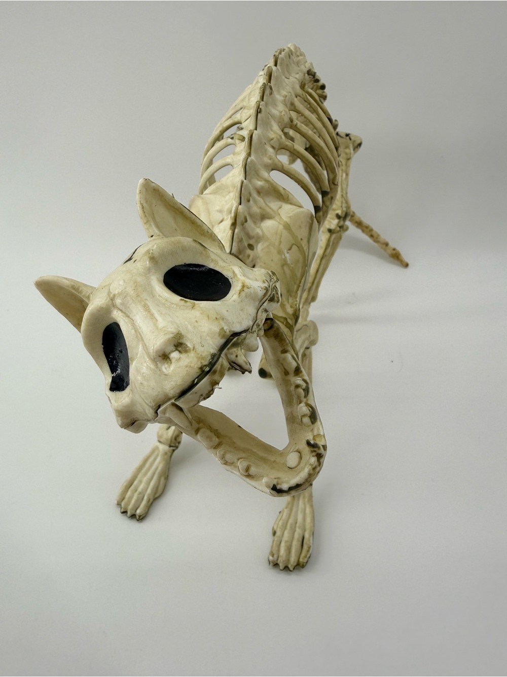 Bone-White Dog Skeleton Toy - Decorative Pet Accessory